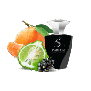 Парфюмерная вода "Divine Musk"