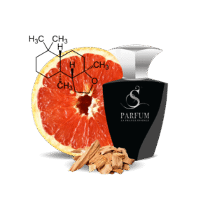 Парфюмерная вода "Savage beast"